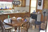 Antique Auction Photos