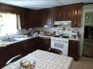 Antique Auction Photos