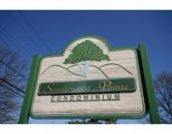 Antique Auction Photos