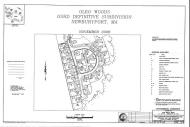 Antique Auction Photos