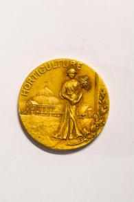 Antique Auction Photos
