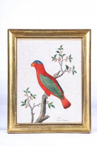 Antique Auction Photos