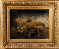 Antique Auction Photos