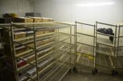 Stainless Steel Rooling Racks