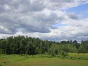 View of Farm Land