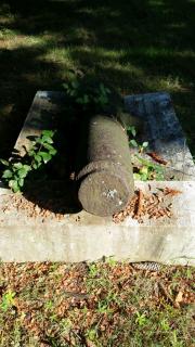 Cannon