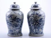 Blue and White