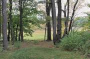 Walk, Hike