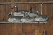 DECOYS