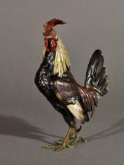 Cockerel