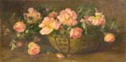 EDITH WHITE