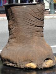 Antique Elephant Foot Umbrella Stand
