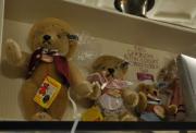 Bears
